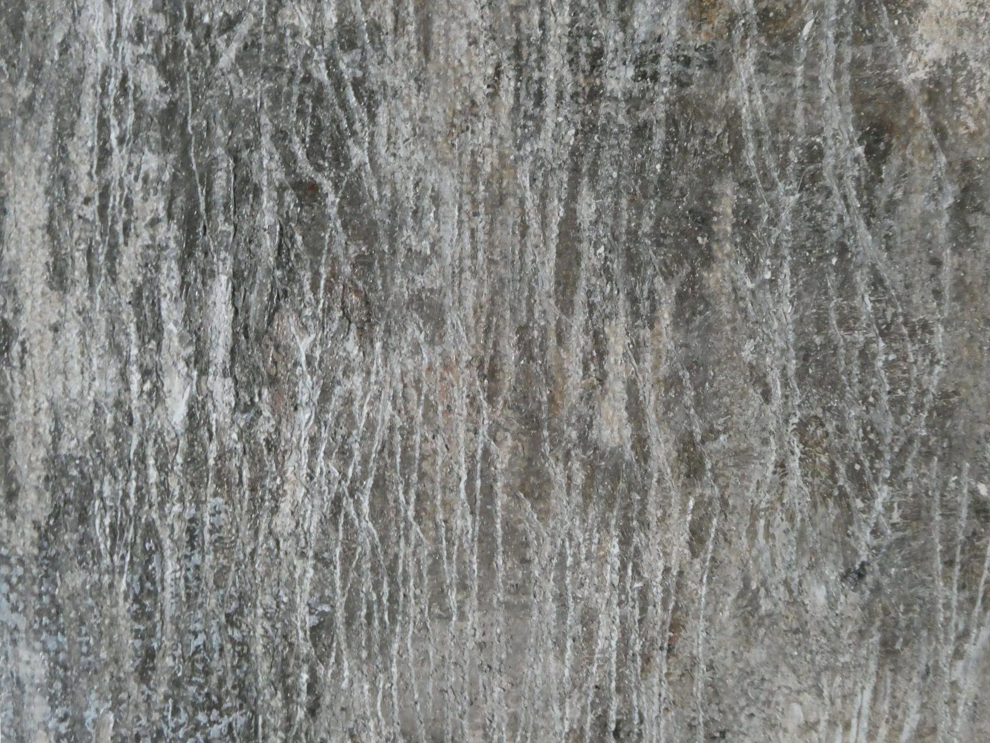 Hennauoti Art-paintings Showflipper