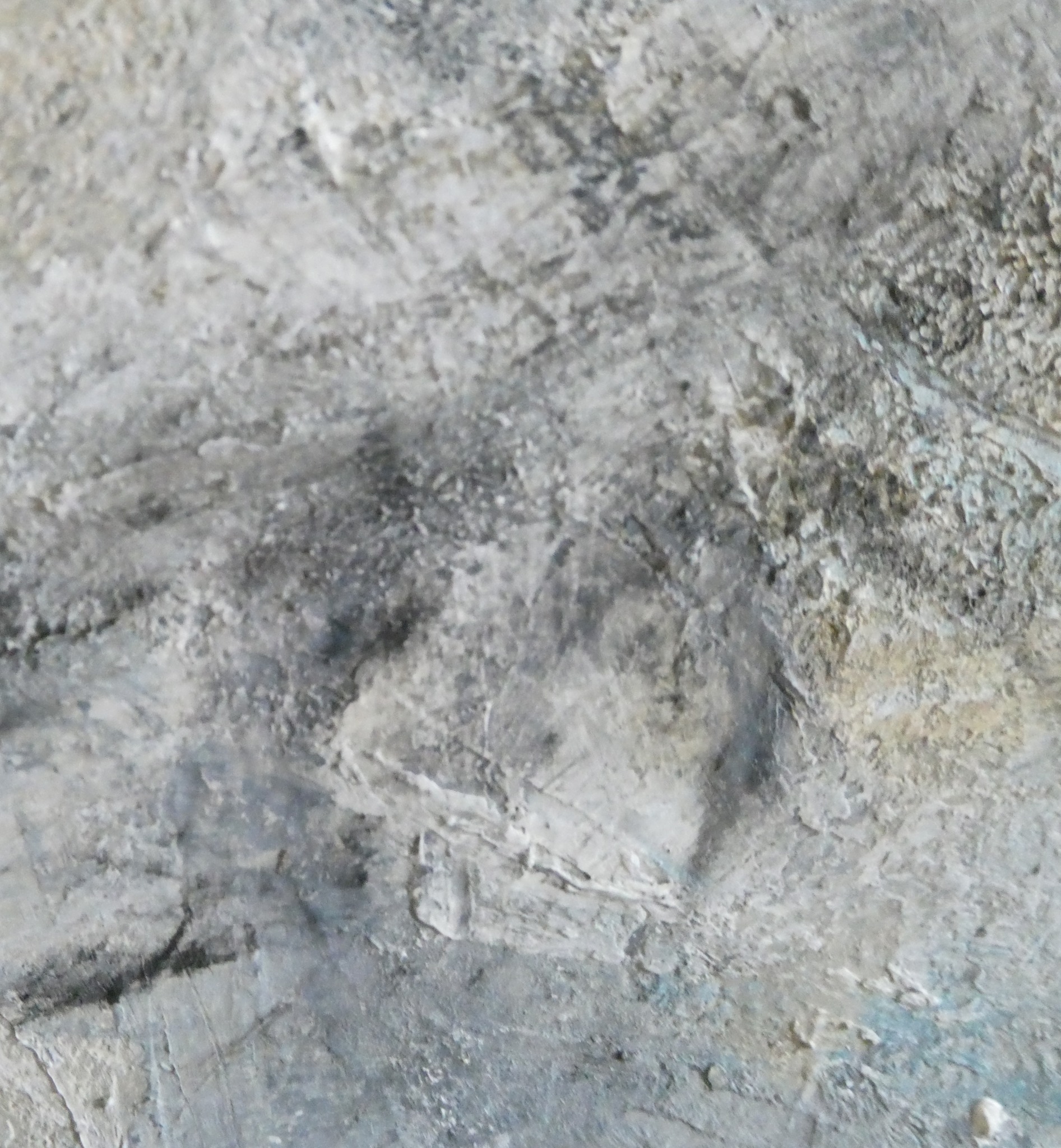 Hennauoti Art-paintings Showflipper