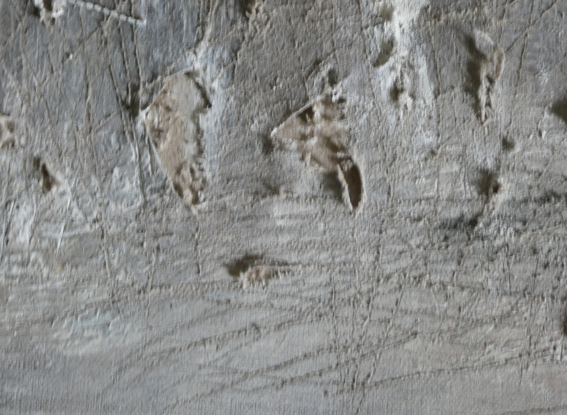 Henna Uoti Art-paintings Showflipper