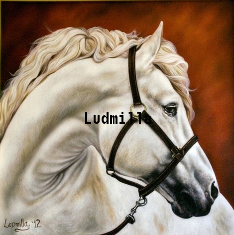 Cavallo Bianco 