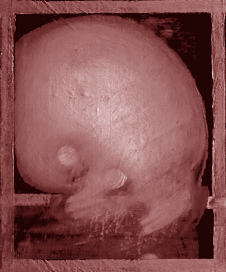 Who Come Digital Art