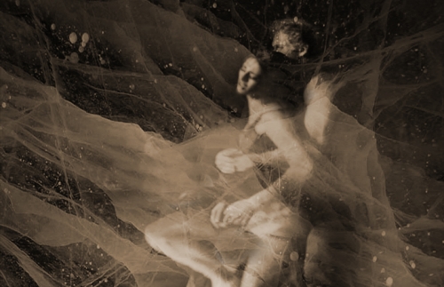 The rapture The rapture 