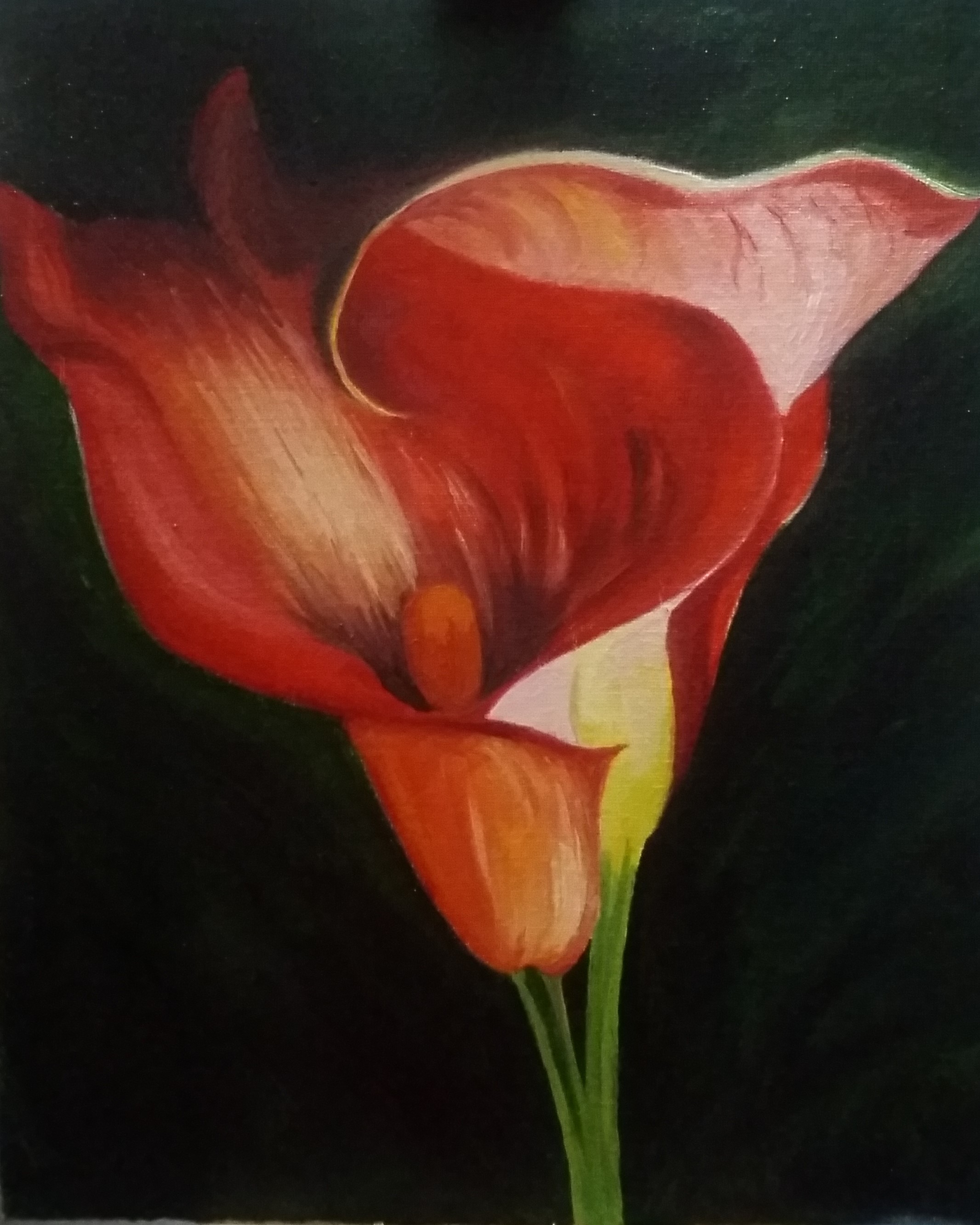 Flower Blossom Fine Art