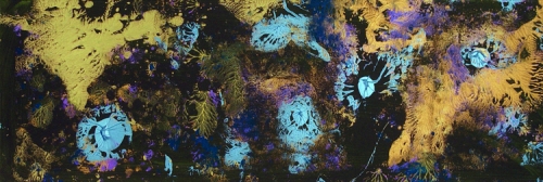 10th Creation Fine Art