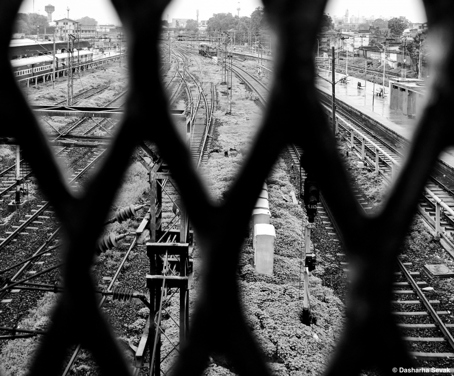 Buy Digital Art Online