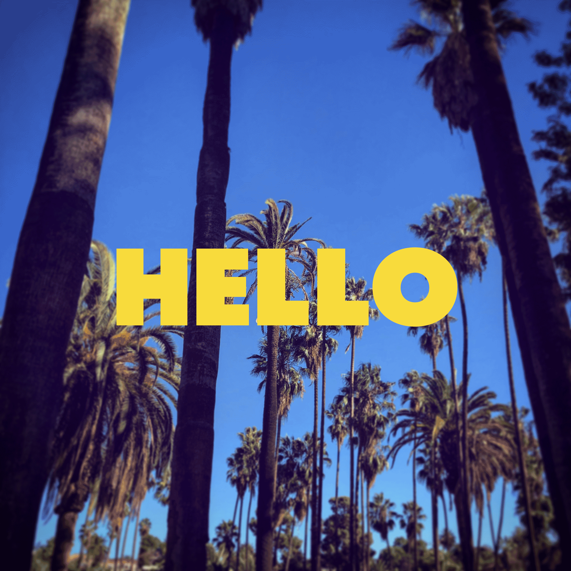 Shrimpton Agency is now in Los Angeles Shrimpton Agency