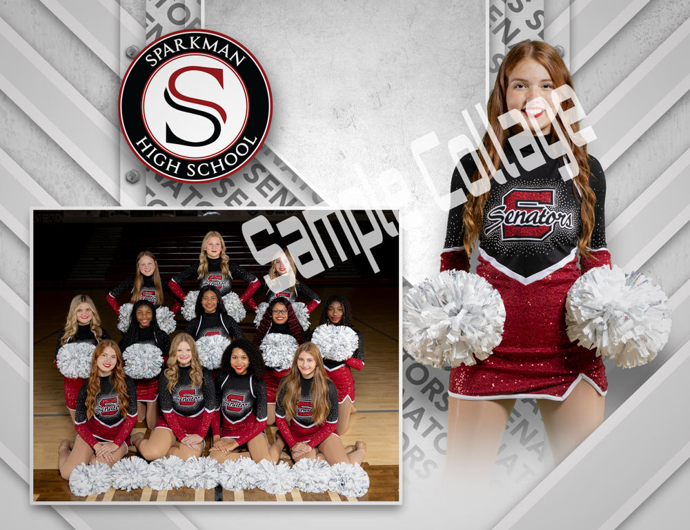 SHS Dance Team Picture 2023 are Ready to Order!!! 
