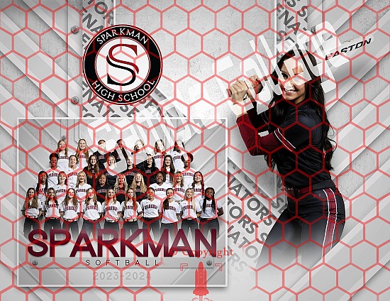 SHS 2024 Softball Team Pictures