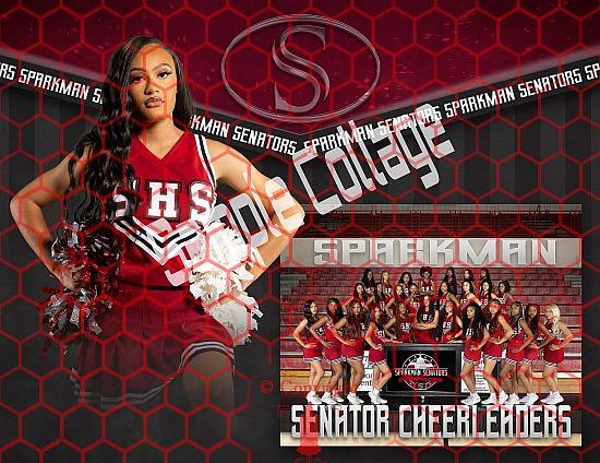 SHS Basketball Cheer Team Pictures 2024-25