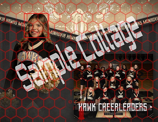MMS Comp Cheer Team Pictures