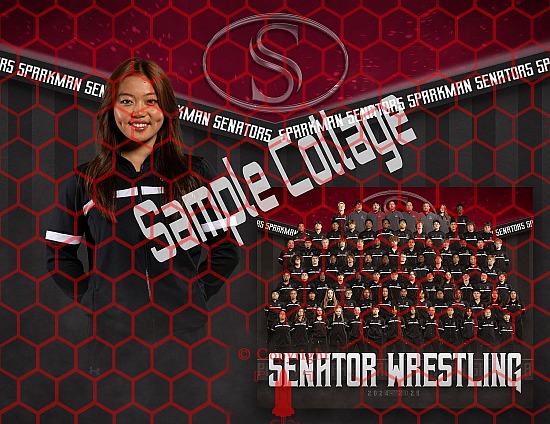 SHS Wrestling Team Pictures