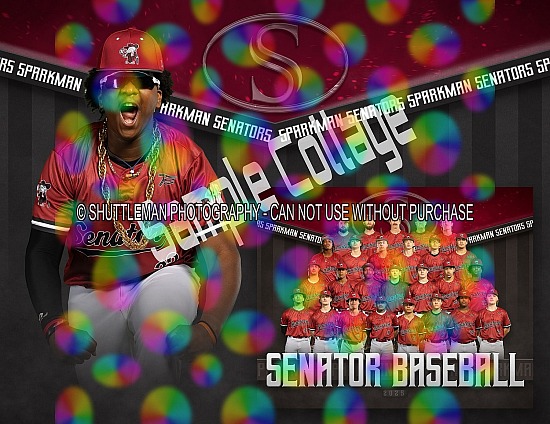 SHS Baseball Team 2025