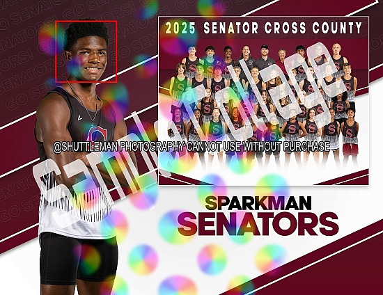 SHS Cross Country 2025