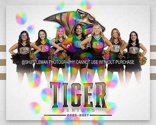 AHS CHEER 2026