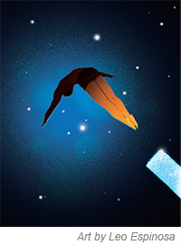 12-aiCIO413MEGA_Prov_LEspinosa