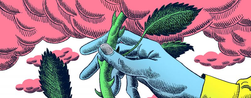 Why Are We Still Using the P/E Ratio?