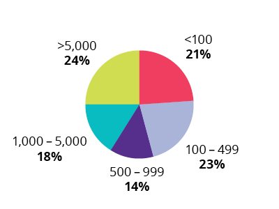 Employer Size pie chart