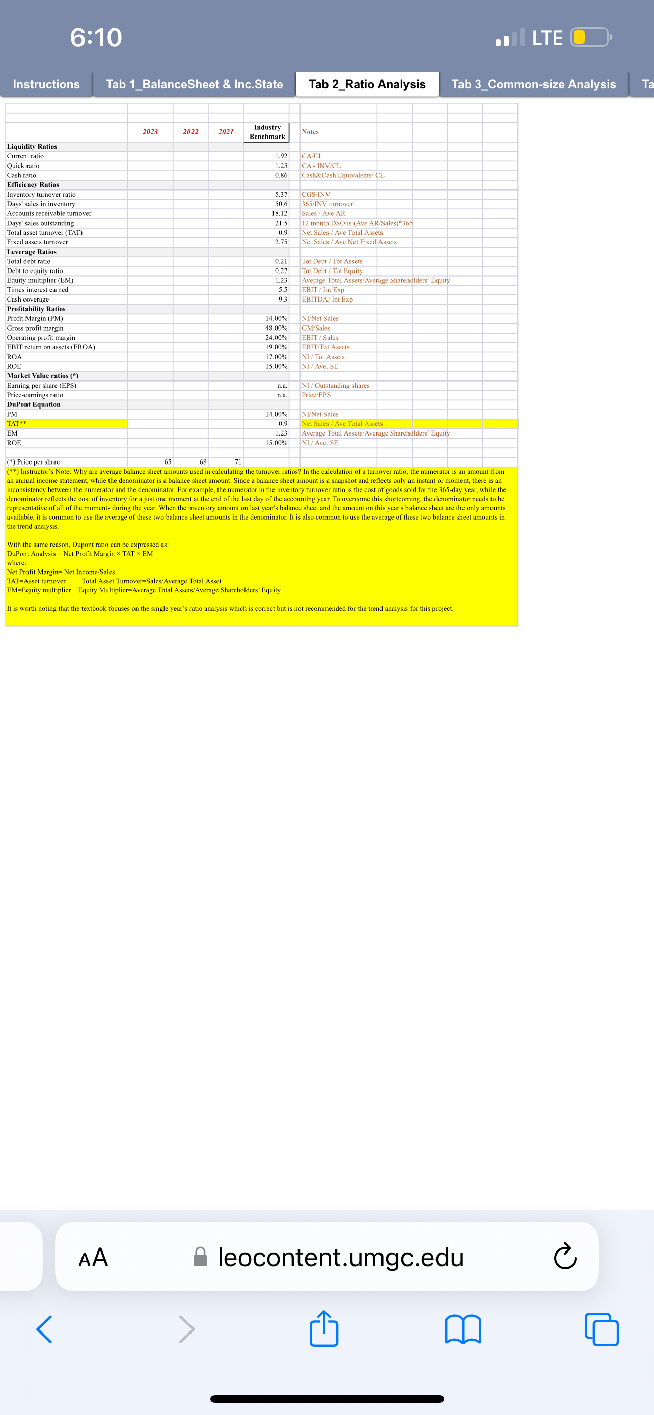 This Excel Workbook View the balance sheet and income statement for the