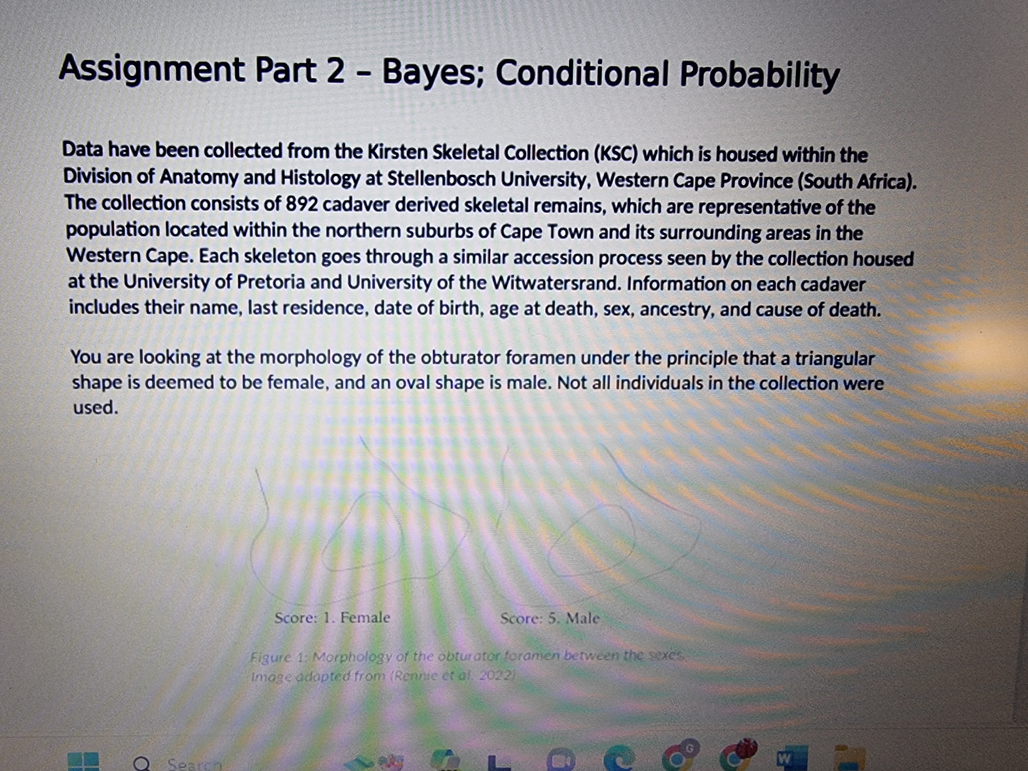 et al. 2022) P(Sx & OFy) Male Female Q Search PRE L