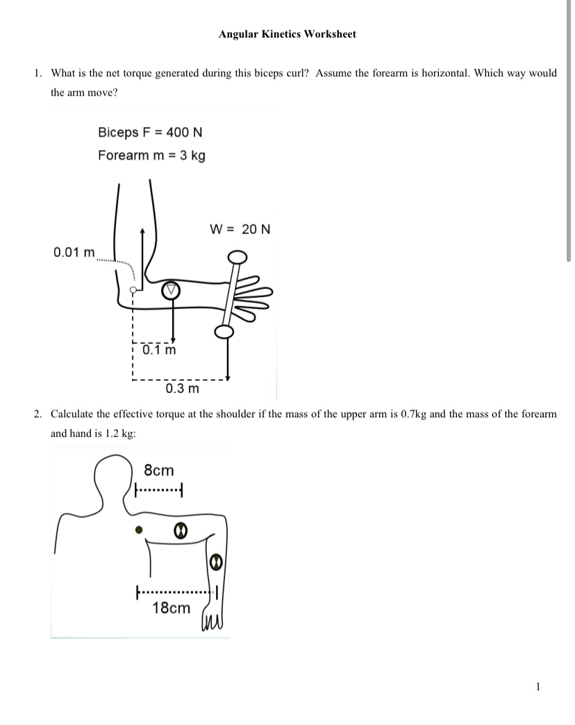 Angular Kinetics Worksheet 1. What is the net torque generated during this