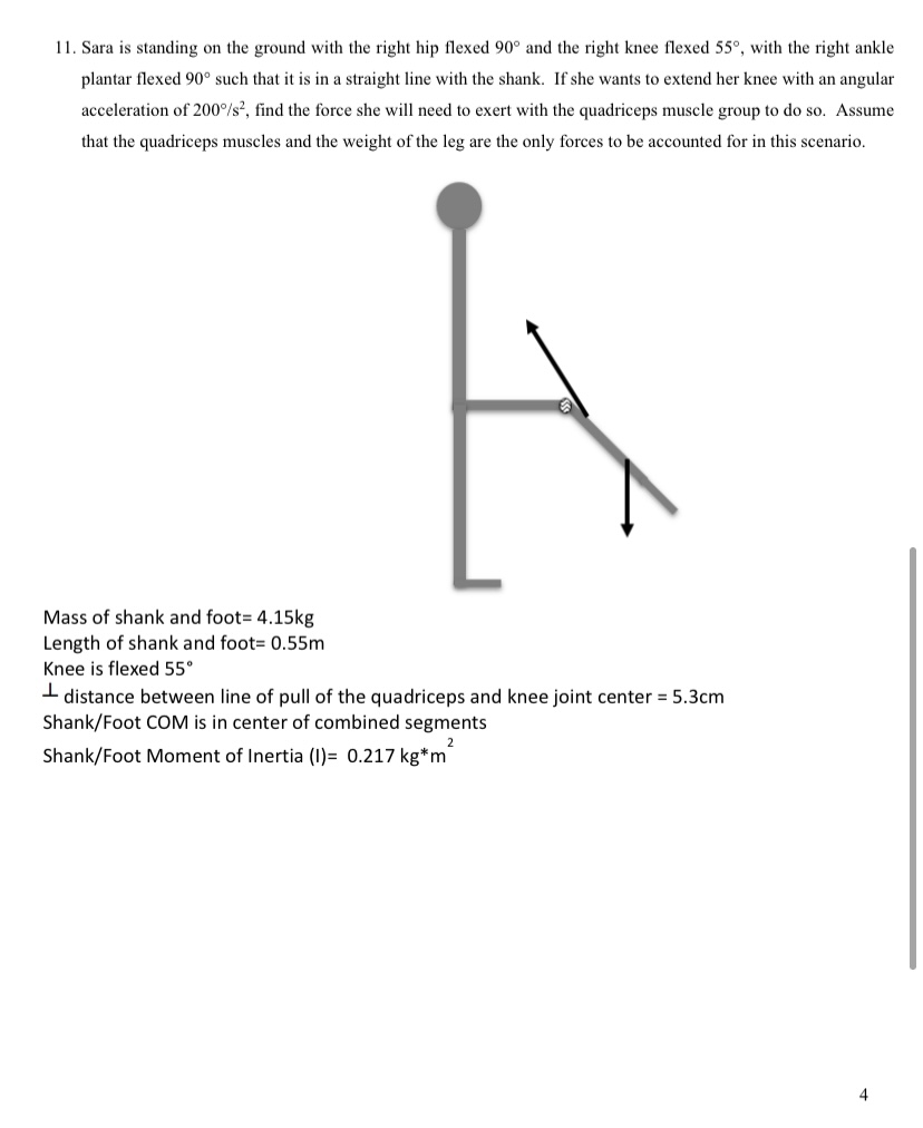 N 0.01 m 0.1 m 0.3 m 2. Calculate the effective torque