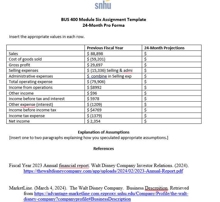 snhu BUS 400 Module Six Assignment Template Insert the appropriate values in