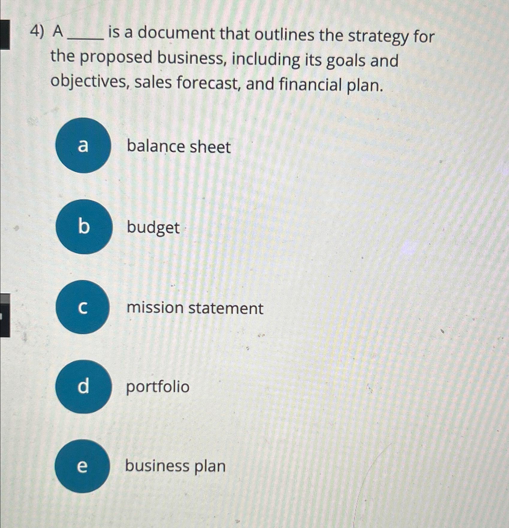 4) A is a document that outlines the strategy for the proposed