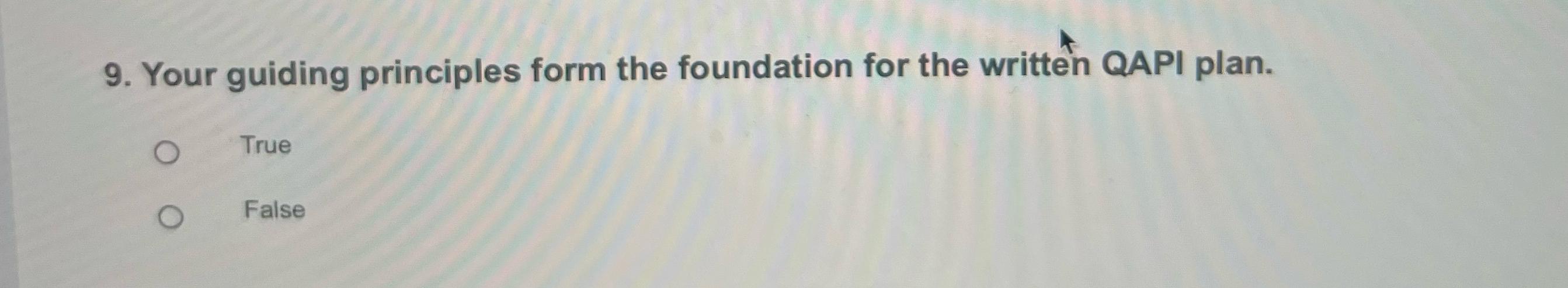 9. Your guiding principles form the foundation for the written QAPI plan.