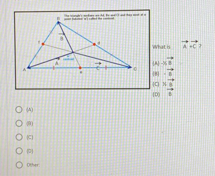O (A) (B) (C) O (D) Other: B B The triangle's medians