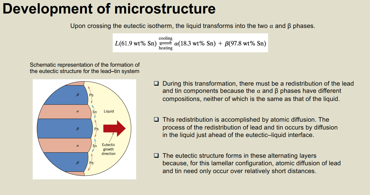 Development of microstructure Upon crossing the eutectic isotherm, the liquid transforms into