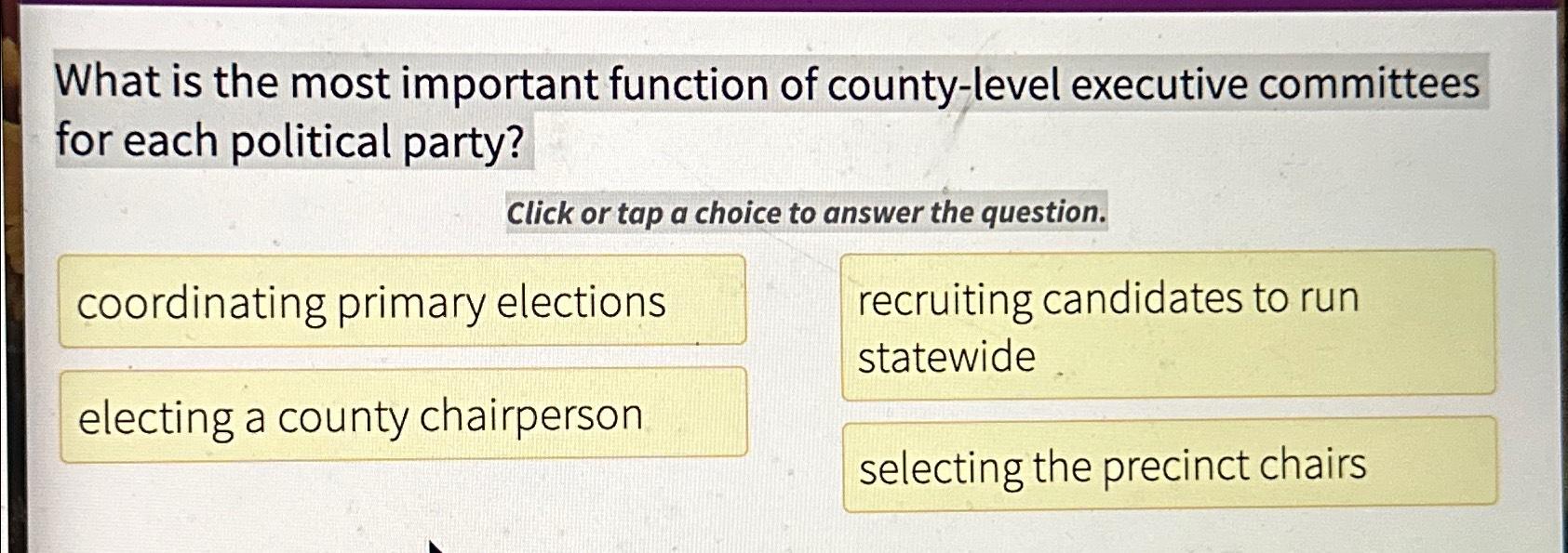 What is the most important function of county-level executive committees for each