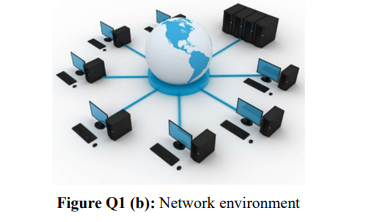 Figure Q1 (b): Network environment