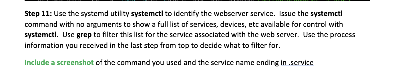 flags. Take a screenshot of the command and its output and include