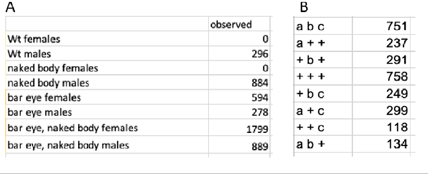 you were given. A Wt females Wt males naked body females naked