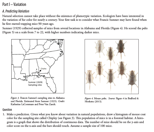 in Oldfield Mice by Katherine S. LaCommare, Department of Natural Sciences, University