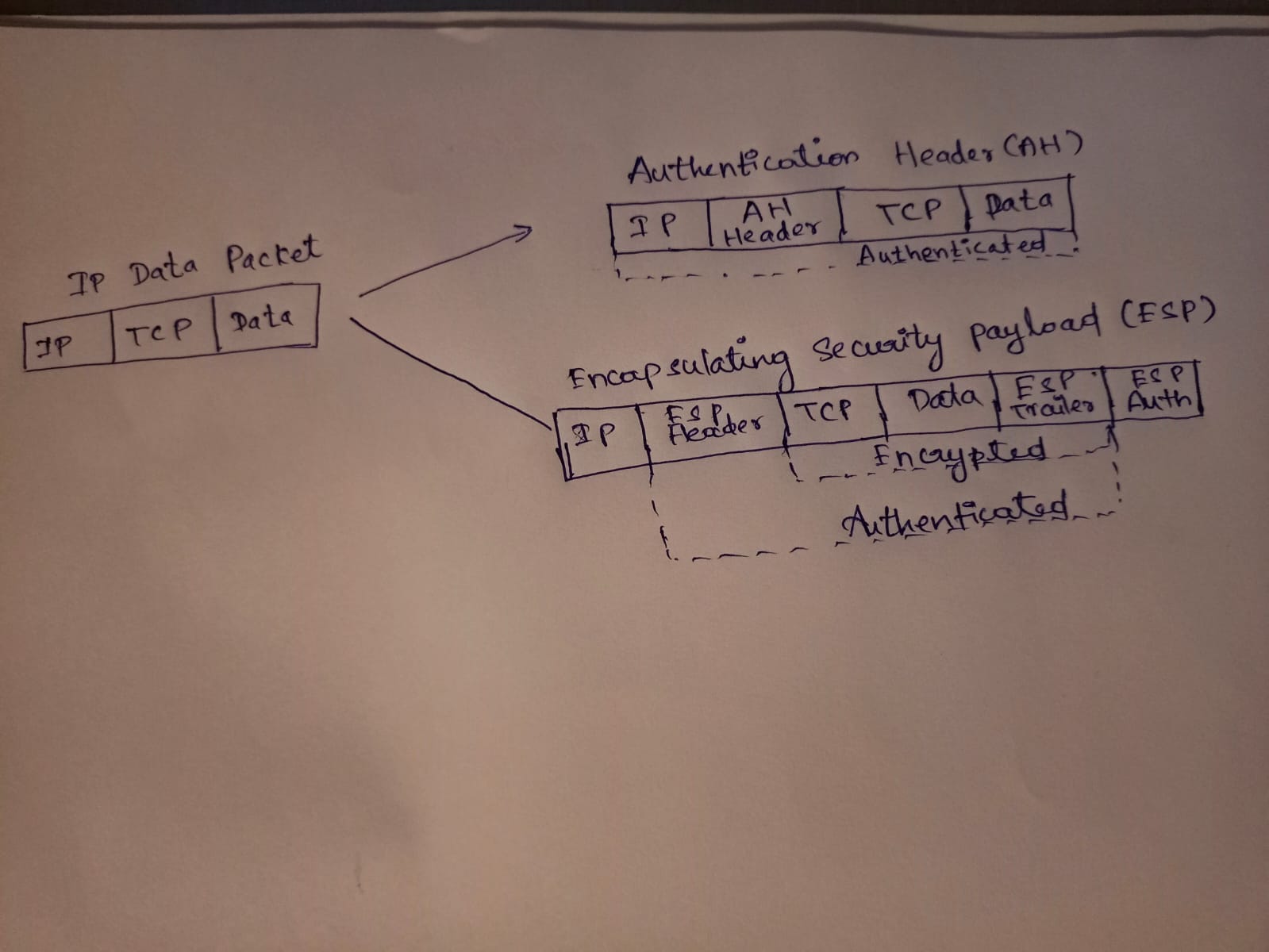 Authentication Header (AH) TP Data Packet IP AH Header TCP Data JP