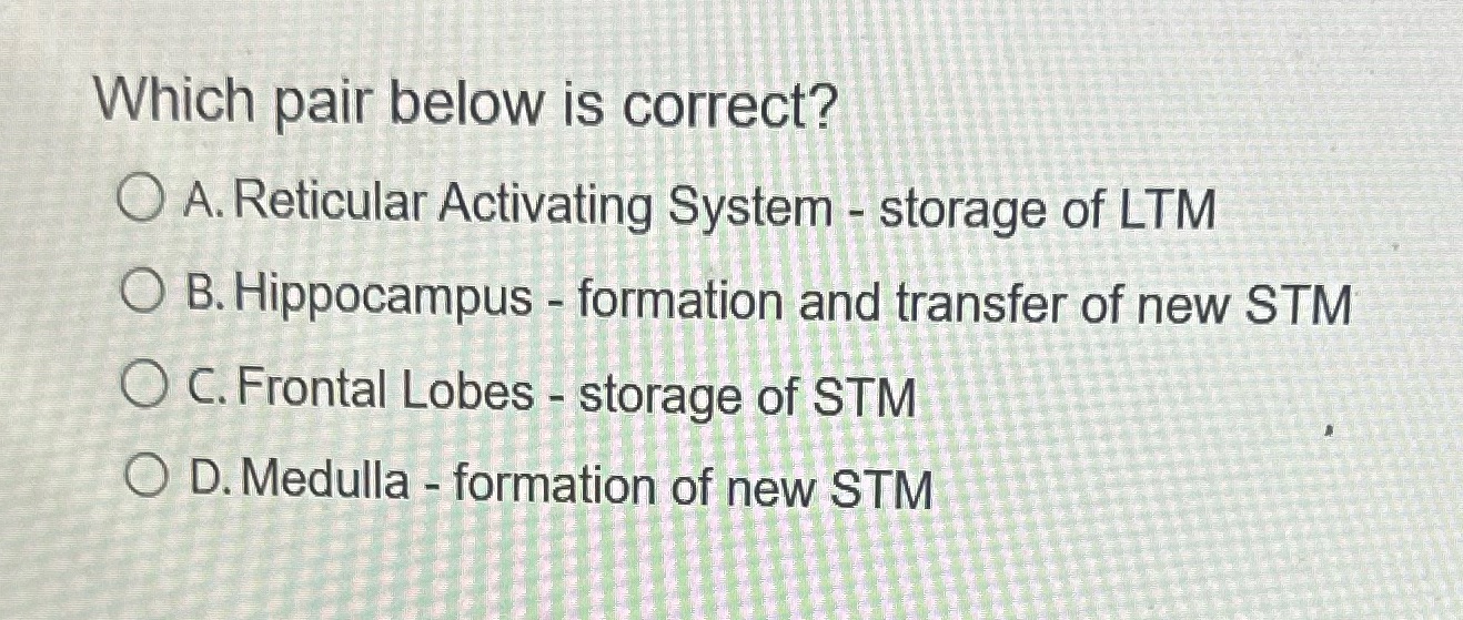Which pair below is correct? OA. Reticular Activating System - storage of