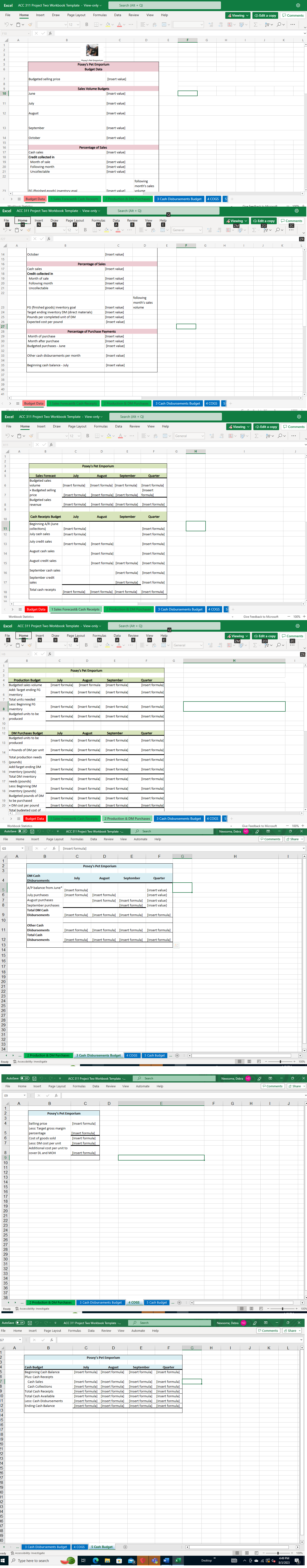 Excel ACC 311 Project Two Workbook Template - View-only Search (Alt +