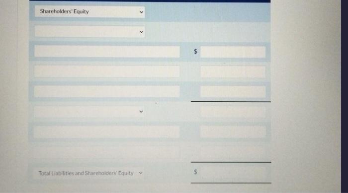 there were 4.9 million preferred shares authorized, with 245,000 of them issued