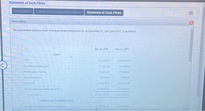 Statement of Cash Flows Instructions Labels and Amount Descriptions Statement of Cash