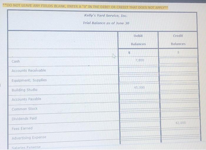 **DO NOT LEAVE ANY FIELDS BLANK, ENTER A "O" IN THE DEBIT