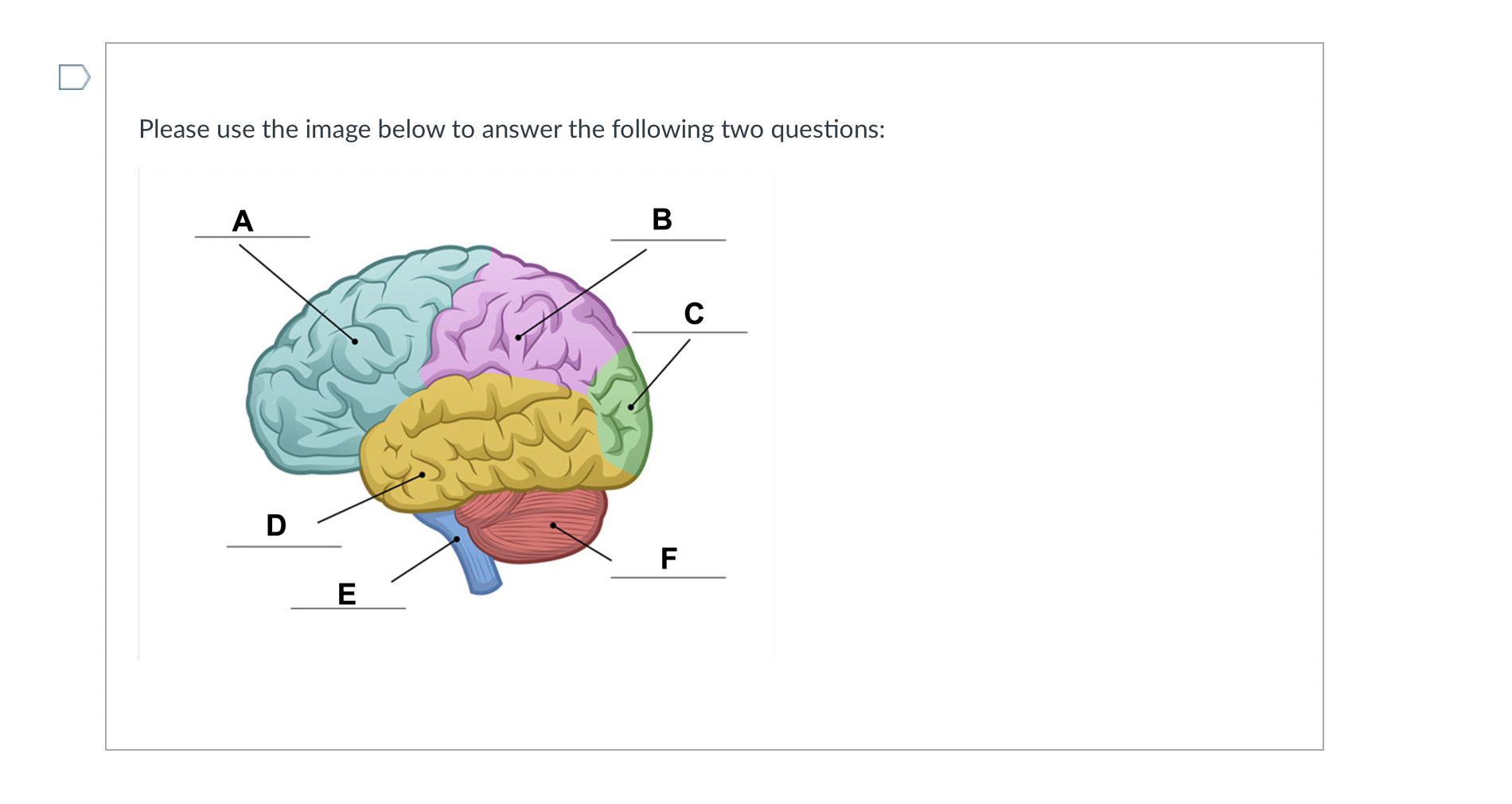 Axon [Choose ] Terminal button [Choose ] Antagonist [Choose ] Excitatory signal
