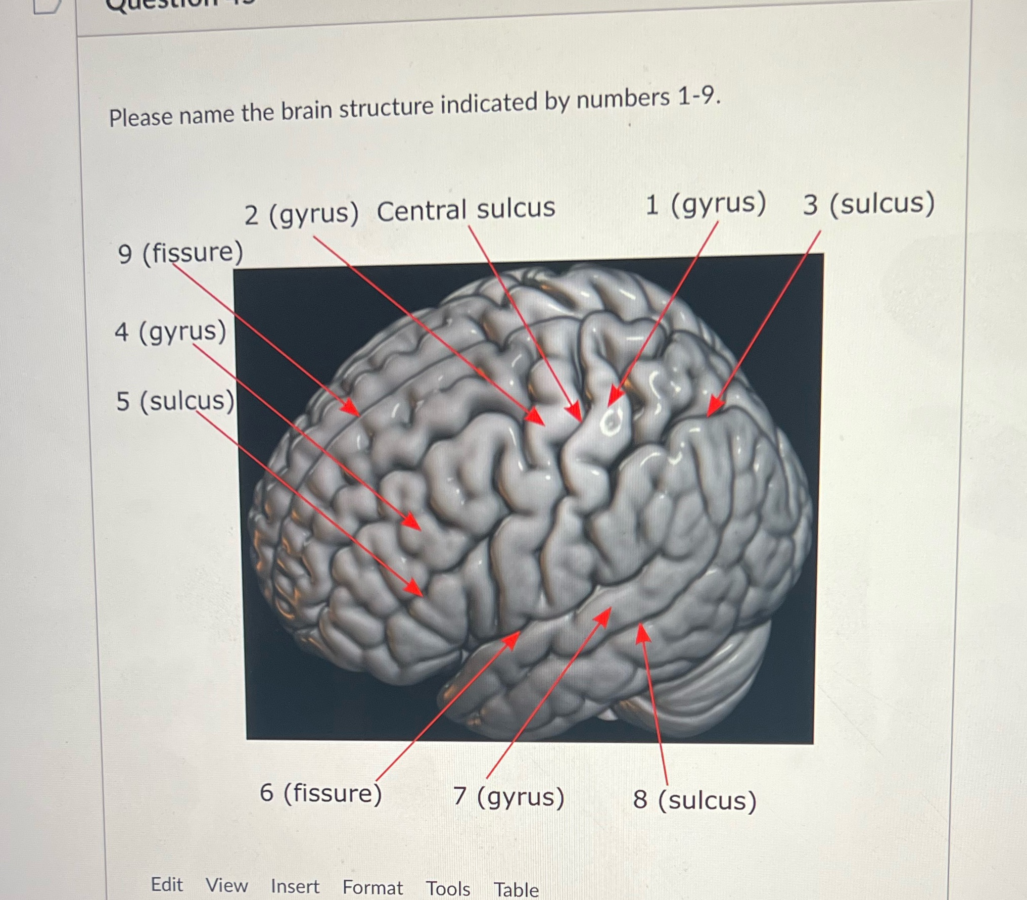 Please name the brain structure indicated by numbers 1-9. 2 (gyrus) Central