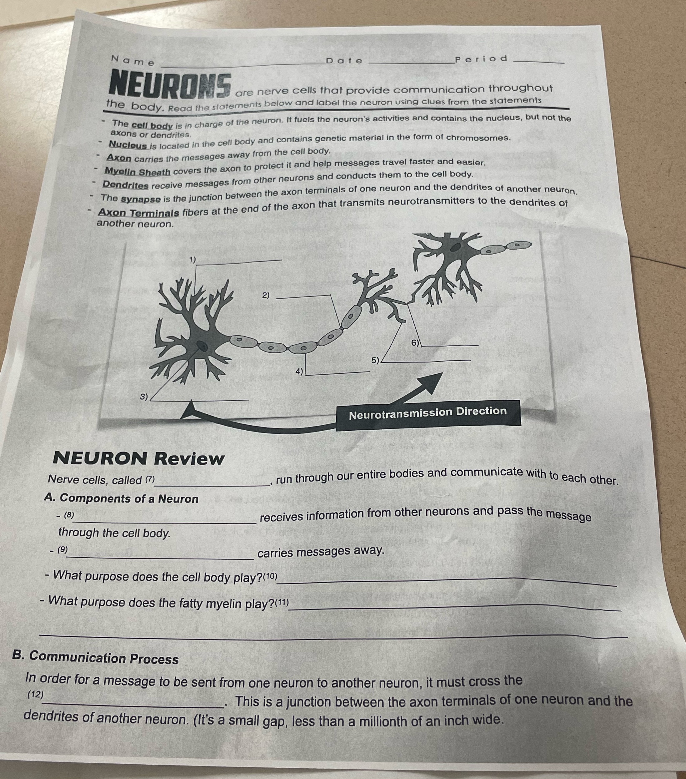 - - - - - - Name NEURONS Date Period are nerve