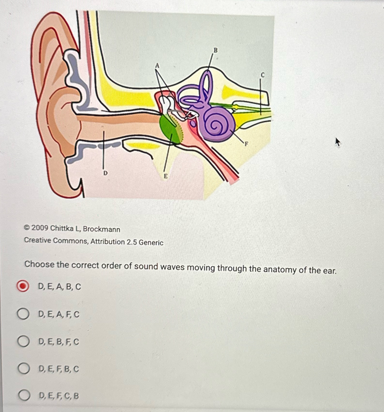 D E 2009 Chittka L, Brockmann Creative Commons, Attribution 2.5 Generic Choose