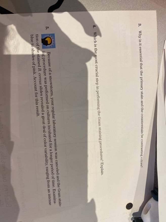 3. Why is it essential that the primary stain and the counterstain