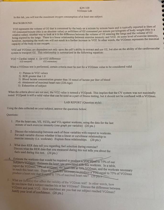 VO2 against workrate, using the data for the last minute of each