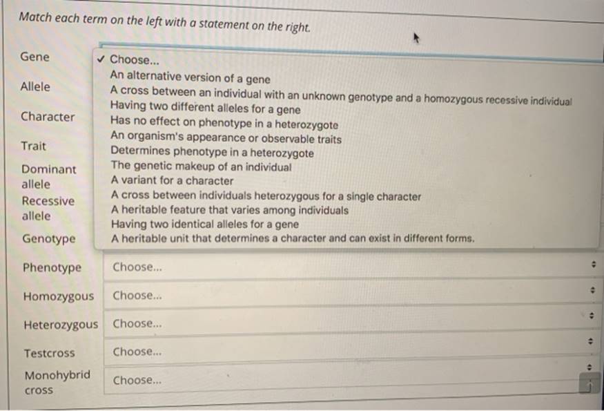 Match each term on the left with a statement on the right.