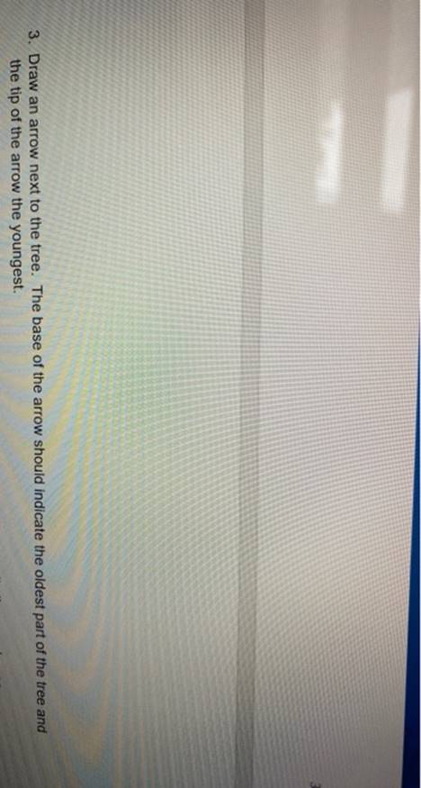 3. Draw an arrow next to the tree. The base of the