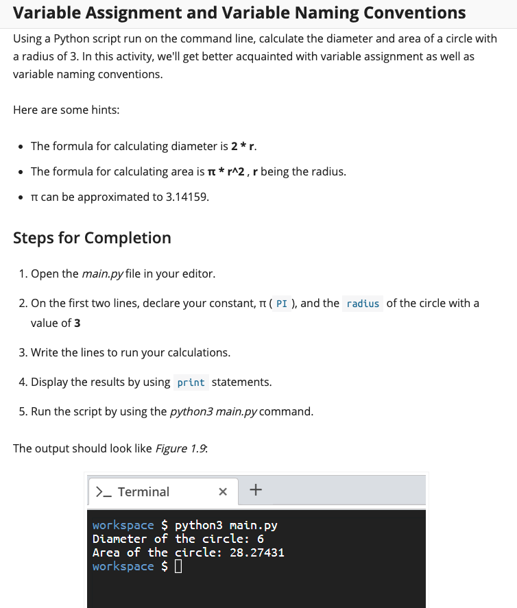 Variable Assignment and Variable Naming Conventions Using a Python script run on